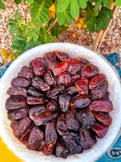 خرما کبکاب سطل 2کیلویی