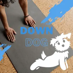 اکانت پرمیوم down dog - برنامه ورزشی و یوگا