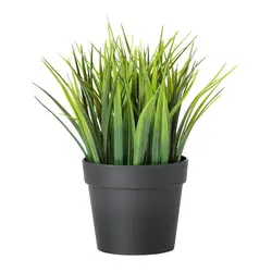 گل مصنوعی برگ سوزنی ایکیا مدل FEJKA کد 00433942