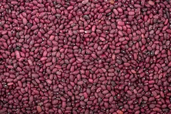 لوبیا قرمز - رُهام روشا