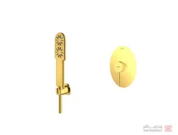 متعلقات شیر حمام توکار شودر مدل روگن تیپ 2 BRASS طلایی