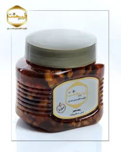 عسل و گردو (450گرمی)