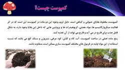 پاورپوینت پرورش قارچ (4773)