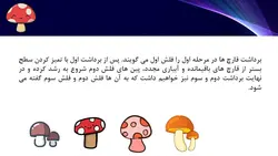 پاورپوینت پرورش قارچ (4773)