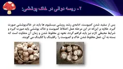پاورپوینت پرورش قارچ (4773)