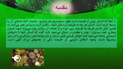 پاورپوینت گیاهان دارویی | طب سنتی (4758)