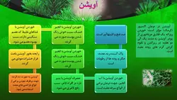 پاورپوینت گیاهان دارویی | طب سنتی (4758)