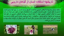 پاورپوینت گیاهان دارویی | طب سنتی (4758)