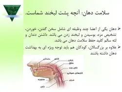 پاورپوینت بهداشت دهان و دندان (15277)