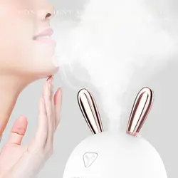 بخور سرد طرح خرگوش