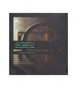 کتاب بن مایه های زیبایی شناسی در آثار خوشنویسی خطوط پهلوی و شکسته نستعلیق - فروشگاه اینترنتی صنایع دستی برزان