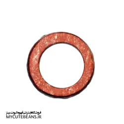 واشر المنت رنچیلو کلاس 5