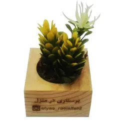 گلدان تبلیغاتی - نوژان گرافیک قیمت چاپ گلدان تبلیغاتی چوبی در اصفهان