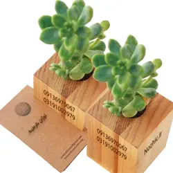 گلدان تبلیغاتی - نوژان گرافیک قیمت چاپ گلدان تبلیغاتی چوبی در اصفهان