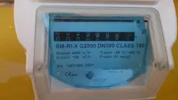 خرید کنتور گاز توربینی پیشرفته 12 اینچ کلاس 150 مدل SM-RI-X الستر (هانی ول) | تجهیزات اندازه گیری و پایش