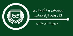 پرورش و نگهداری گل های آپارتمانی