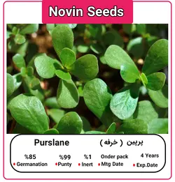 بذر پرپین (خرفه)