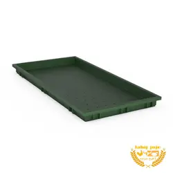 سینی نشا سبز