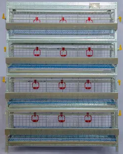 قفس 4 طبقه بلدرچین