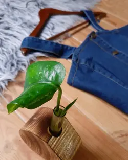 سارافون کد z1