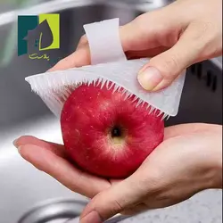فرچه میوه شور