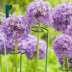 نگهدارنده گیاه چهار عددی