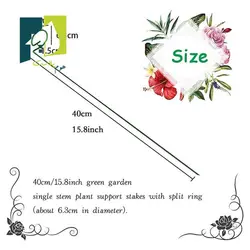 نگهدارنده گیاه چهار عددی