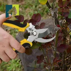 قیچی باغبانی مدل ساده