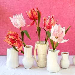 ست وینر و کاتر فوندانت بهگز مدل گل لاله مجموعه 5 عددی