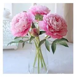 ست کاتر و وینر سیلیکونی فوندانت بهگز مدل برگ گل پیونی مجموعه 4 عددی