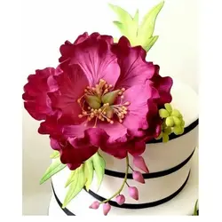 ست کاتر و وینر سیلیکونی فوندانت بهگز مدل برگ گل پیونی مجموعه 4 عددی