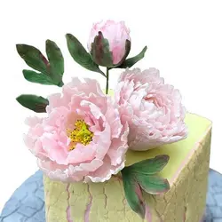 ست کاتر و وینر سیلیکونی فوندانت بهگز مدل برگ گل پیونی مجموعه 4 عددی