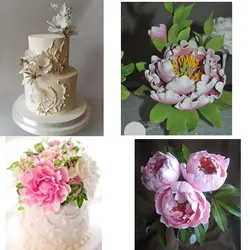 ست کاتر و وینر سیلیکونی فوندانت بهگز مدل برگ گل پیونی مجموعه 4 عددی