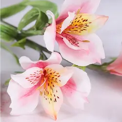 ست کاتر و وینر سیلیکونی فوندانت بهگز مدل گل آلسترومریا مجموعه 6 عددی