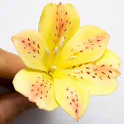 ست کاتر و وینر سیلیکونی فوندانت بهگز مدل گل آلسترومریا مجموعه 6 عددی