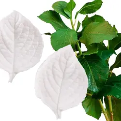 ست کاتر و وینر سیلیکونی فوندانت بهگز مدل برگ گل کوکب مجموعه 4 عددی