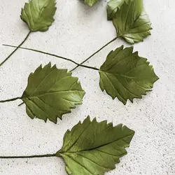 ست کاتر و وینر سیلیکونی فوندانت بهگز مدل برگ گل کوکب مجموعه 4 عددی