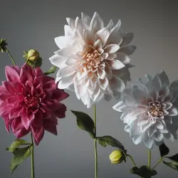 ست کاتر و وینر سیلیکونی فوندانت بهگز مدل برگ گل کوکب مجموعه 4 عددی