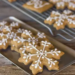 کاتر شیرینی پزی و کوکی مدل دانه برف مجموعه 4 عددی