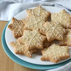 کاتر شیرینی پزی و کوکی مدل دانه برف مجموعه 4 عددی