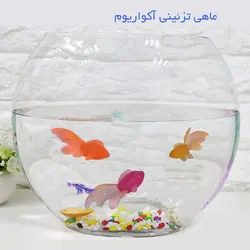 ماهی تزیینی کیک ژله ای بسته 100 عددی