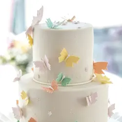خلال فینگر فود و تزیین کیک مدل پروانه مجموعه 12 عددی