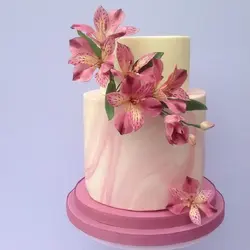 ست وینر و کاتر بهگز مدل برگ آلسترومریا مجموعه 4 عددی