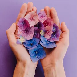 ست کاتر و وینر سیلیکونی فوندانت بهگز مدل گل ادریسی مجموعه 4 عددی