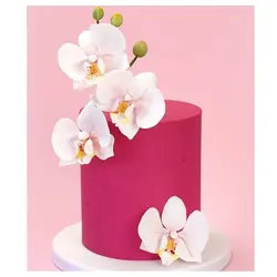 ست گلسازی کاتر و وینر فوندانت مدل گل ارکیده اسلیپر مجموعه 13 عددی