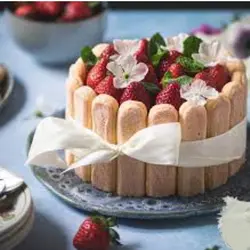 شیرینی بند انگشتی و بیسکوییت لیدی فینگر تیرامیسو دلجو - 220 گرم