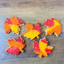 کاتر شیرینی پزی مدل برگ پاییزی مجموعه 4 عددی