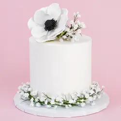 ست کاتر و وینر فوندانت بهگز مدل گل آنمون مجموعه 4 عددی