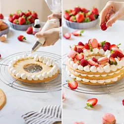 توری خنک کننده کیک و شیرینی مدل گرد