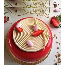 قالب شکلات سیلیکونی سورنا پارت مدل دکور تارت دایره